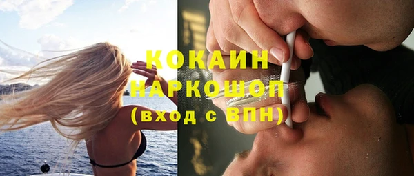 индика Заводоуковск