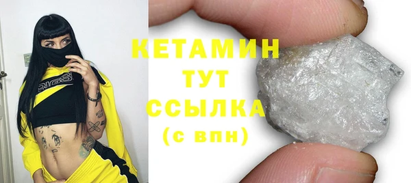 индика Заводоуковск