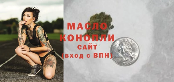 индика Заводоуковск