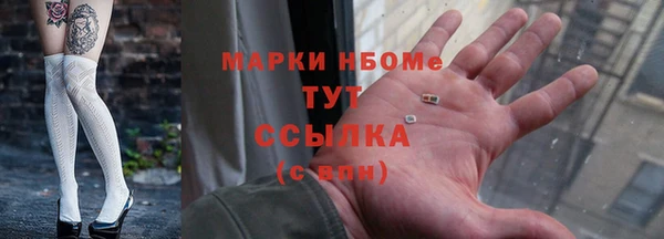 индика Заводоуковск