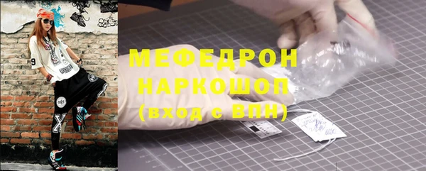 индика Заводоуковск