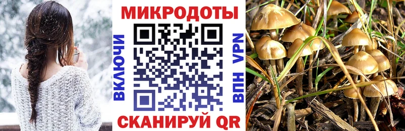Купить где  Билибино  Псилоцибиновые грибы Psilocybine cubensis 